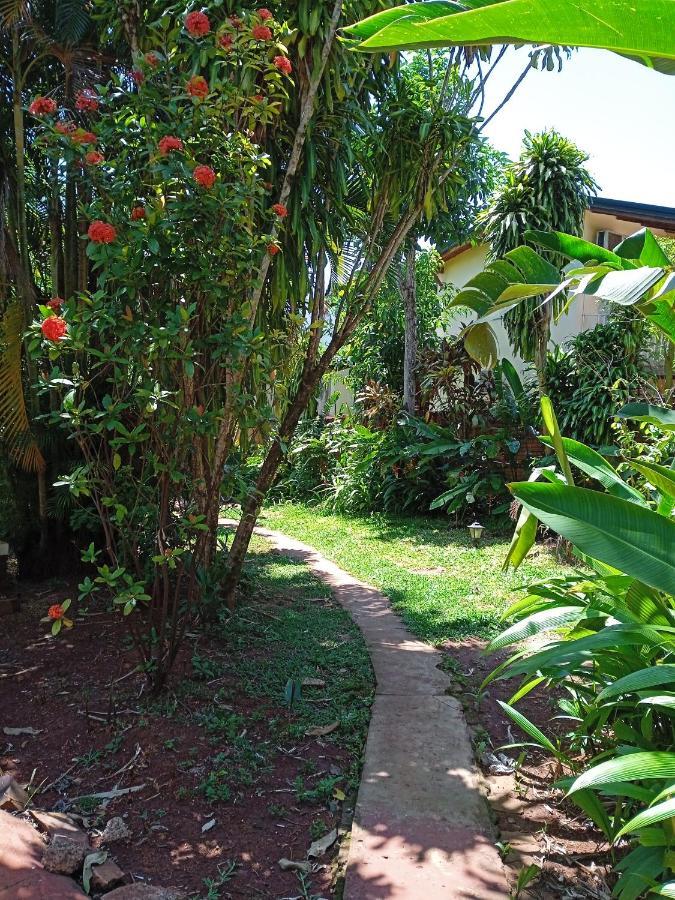 Hostel Garden Stone Puerto Iguazú Exterior foto